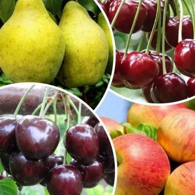 Комплект НАСЛАЖДЕНИЕ в Горках