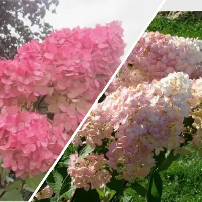 Комплект МНОГОГРАННОСТЬ в Горках