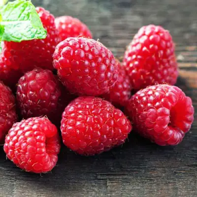 Малина ЭРИКА в Горках