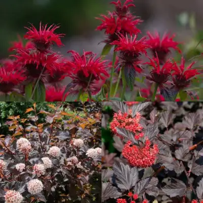 Комплект ОГНЕННЫЙ МИКС в Горках