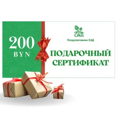 Подарочный сертификат на 200 BYN в Горках