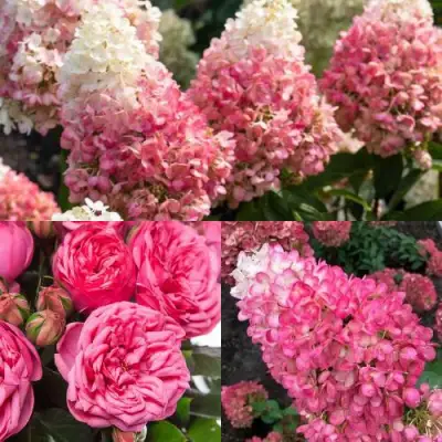 Комплект МАЛИНОВЫЙ ДЕСЕРТ в Горках