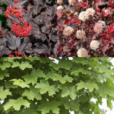 Комплект ОСЕННИЙ КОСТЕР в Горках