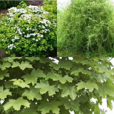 Комплект ЗЕЛЕНЫЙ ОАЗИС в Горках