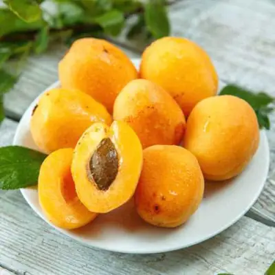 Абрикос АНАНАСНЫЙ в Горках