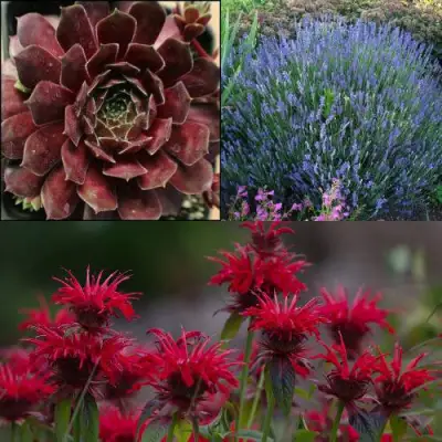 Комплект ФИОЛЕТОВОЕ ВДОХНОВЕНИЕ в Горках