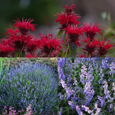 Комплект АРОМАТНЫЙ ЧАЙ в Горках