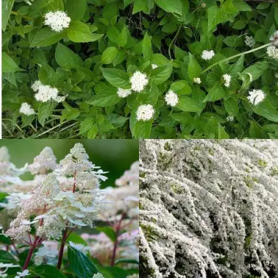 Комплект СКАНДИНАВСКИЙ СТИЛЬ в Горках