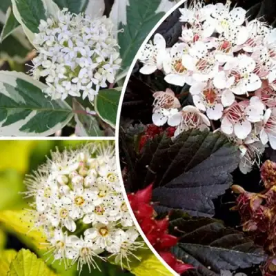 Комплект ЯРКАЯ ВСПЫШКА в Горках