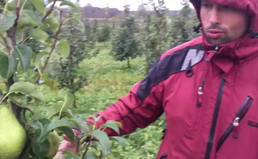 Превью видео