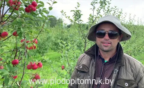 Превью видео