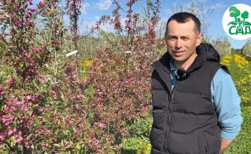 Превью видео