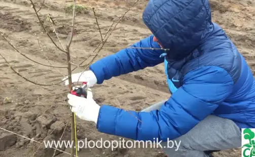 Превью видео