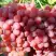 Виноград КИШМИШ КРАСНЫЙ в Горках
