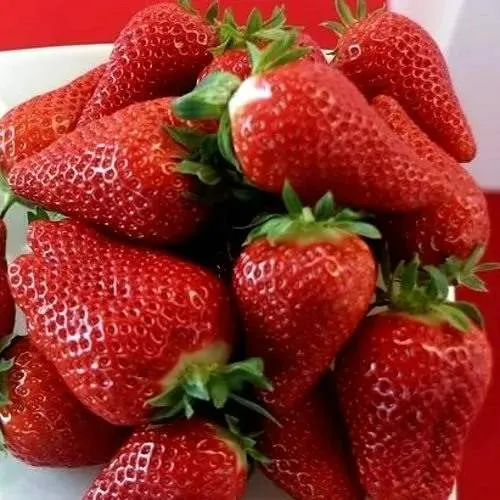 Клубника БРИЛЛА  Клубника БРИЛЛА в Горках