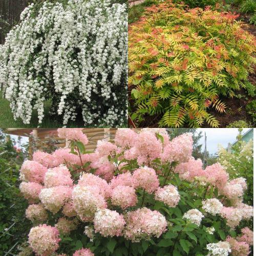 Комплект ФЕЙЕРВЕРК ЛЕТА в Горках