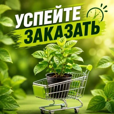УСПЕЙТЕ ЗАКАЗАТЬ в Горках