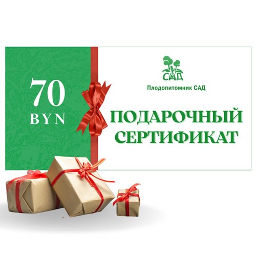 Подарочный сертификат на  70 BYN в Горках