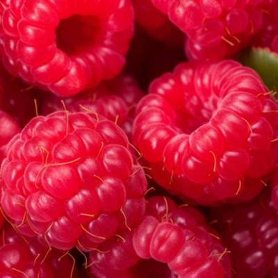 Красная в Горках