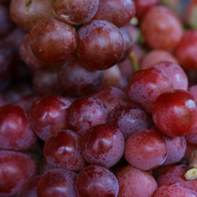 Красный в Горках