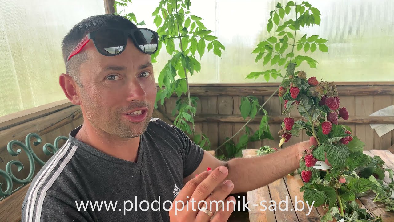 Превью видео