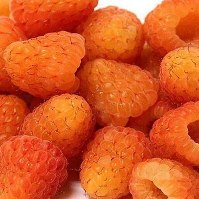 Оранжевая в Горках